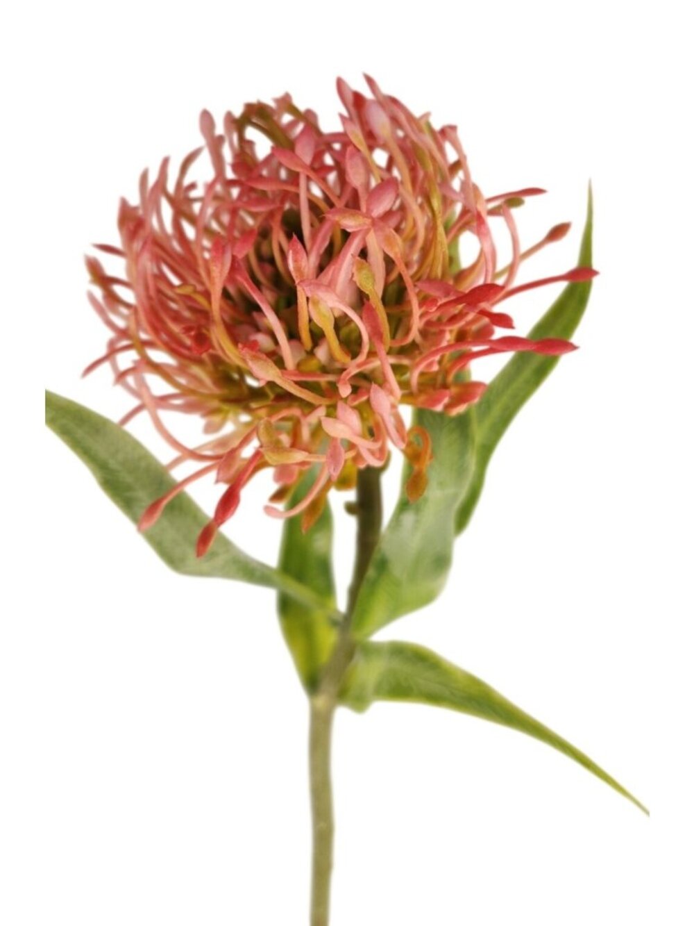 Artificial Pink Pincushion Protea Stem | Faux Leucospermum Flower | Frosted Cora